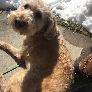 Meet your Posher, Anna